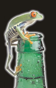 HaLT_Frosch2