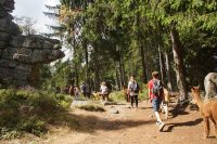 16. August 2022 – Ü13!-Tagesfahrt „Alpakawanderung“