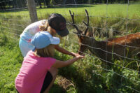 22. August – Märchenhafte Eindrücke im Wildpark Schloss Tambach